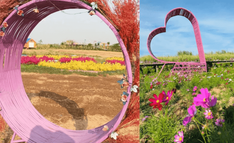 How to Start a Garden Business From Home (15 Years of Hard Lessons)